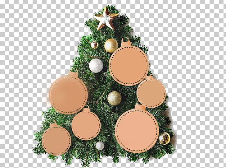 Christmas Tree Gratis Christmas Ornament PNG, Clipart, Autumn And Winter New Fashion, Baby, Christma, Christmas, Christmas Border Free PNG Download