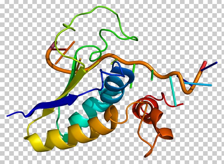 SF1 Steroidogenic Factor 1 Protein Gene FOXP2 PNG, Clipart, Area, Artwork, Foxp2, Gene, Gene Wiki Free PNG Download