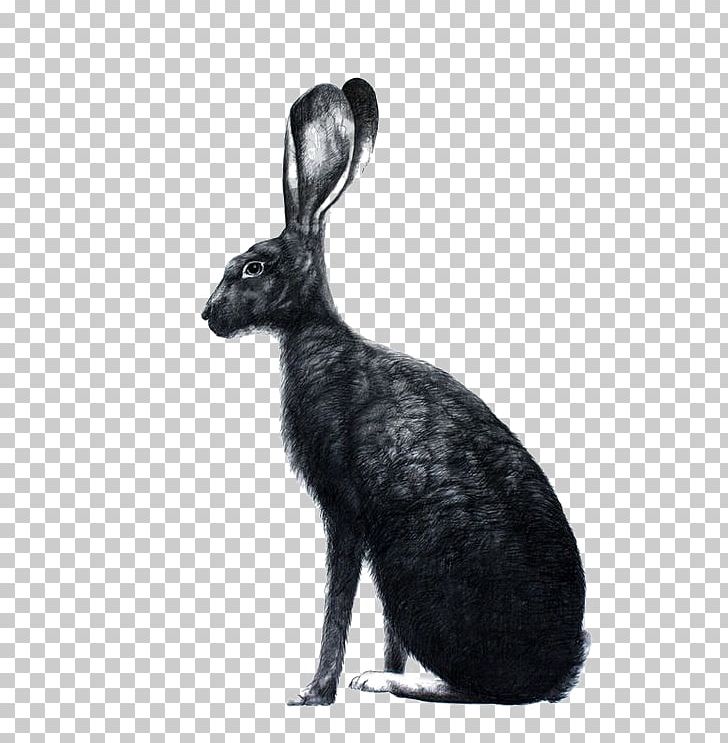 Easter Bunny The Book Of Bunny Suicides March Hare Bunnies & Rabbits PNG, Clipart, Animals, Background Black, Black, Black And White, Black Hair Free PNG Download