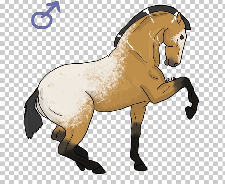 Mustang Stallion Rein Pack Animal Halter PNG, Clipart, 2019 Ford Mustang, Animal Figure, Bridle, Demon, Equine Free PNG Download