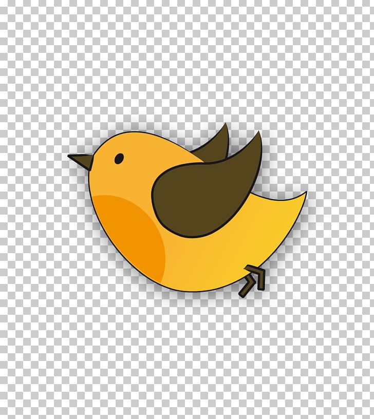 Yellow Bird Beak Green Blue PNG, Clipart, Beak, Bird, Blue, Brown, Color Free PNG Download