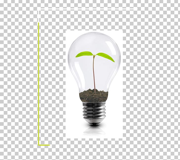 Incandescent Light Bulb Plant Business PNG, Clipart, Business, Getty Images, Heat, Incandescent Light Bulb, Istock Free PNG Download