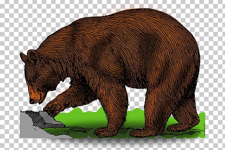 Brown Bear American Black Bear Polar Bear PNG, Clipart, American Black Bear, Bear, Brown Bear, Carnivoran, Computer Icons Free PNG Download