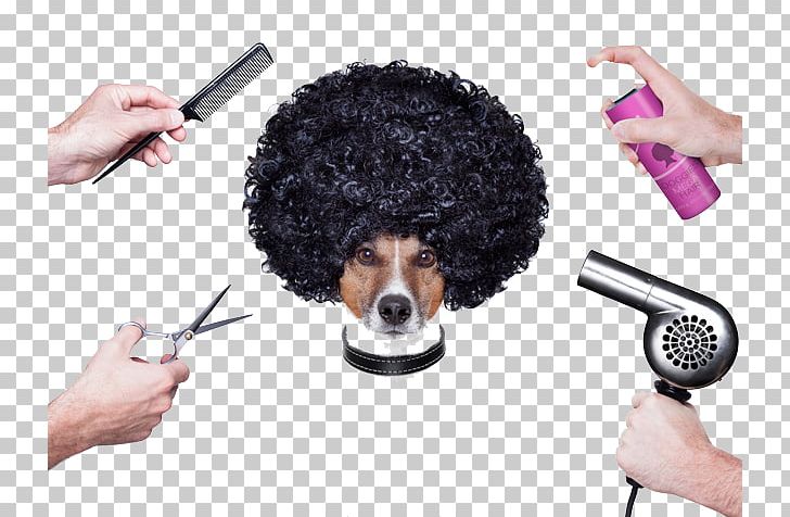 Comb Dog Grooming Day Spa PNG, Clipart, Beauty Parlour, Can Stock Photo, Comb, Day Spa, Dog Free PNG Download