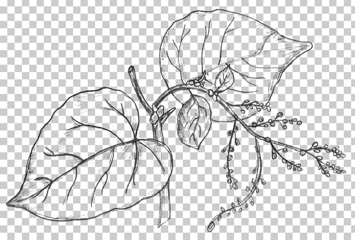 Drawing Plant Sketch PNG, Clipart, Art, Artwork, Black And White, Branch, Brush Free PNG Download