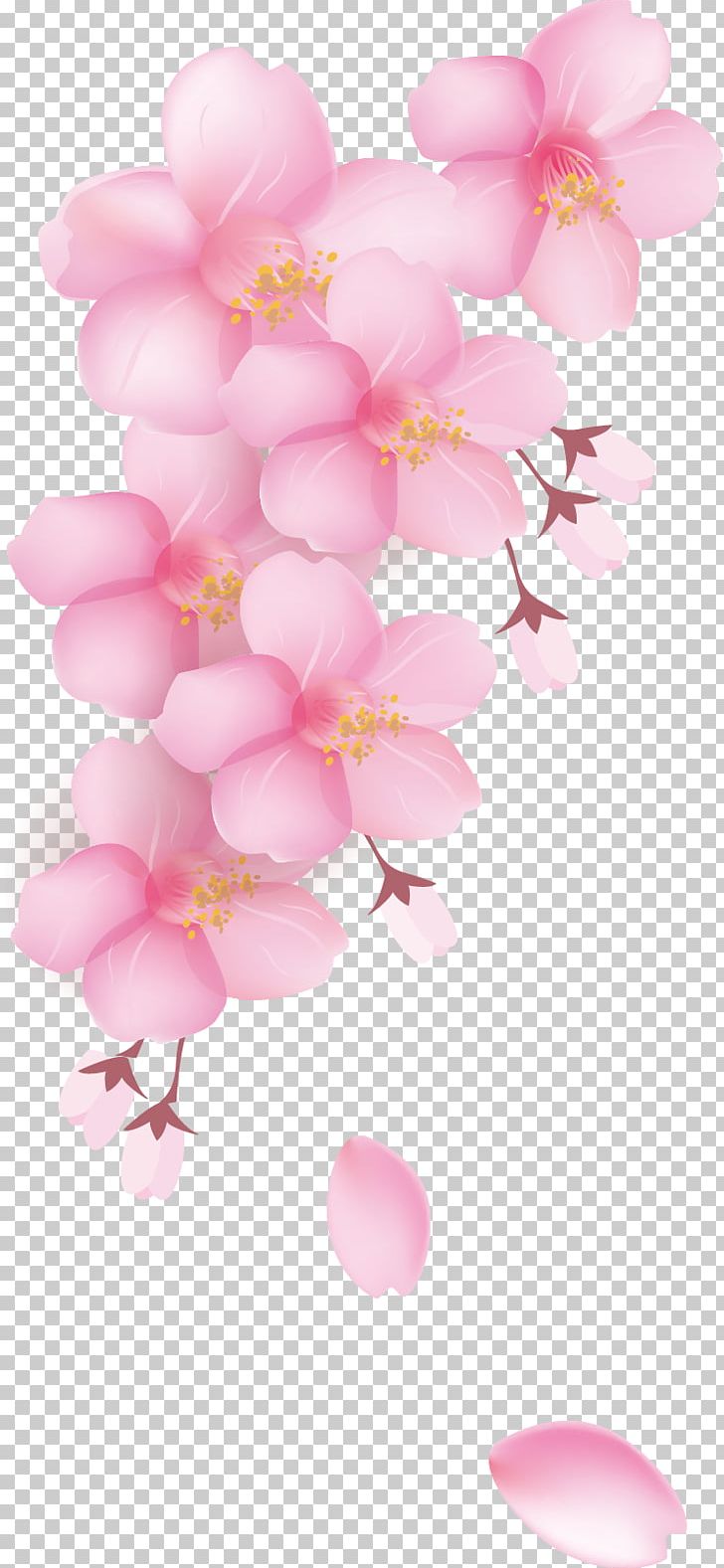 National Cherry Blossom Festival Petal PNG, Clipart, Balloon, Blossom, Branch, Cerasus, Cherry Free PNG Download