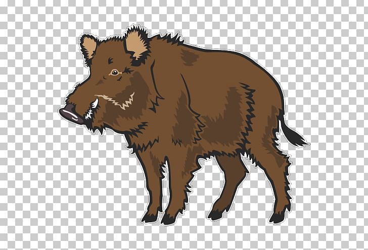 Wild Boar Common Warthog PNG, Clipart, Bear, Bison, Cattle Like Mammal, Cow Goat Family, Drawing Free PNG Download