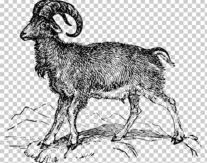 Argali Goat Barbary Sheep Ovis Orientalis PNG, Clipart, Animal Figure, Animals, Argali, Barbary Sheep, Black And White Free PNG Download