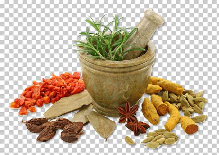 Ayurveda Medicine Therapy Alternative Health Services Herbalism PNG, Clipart, Alternative Health Services, Alternative Medicine, Clinic, Cure, Flowerpot Free PNG Download