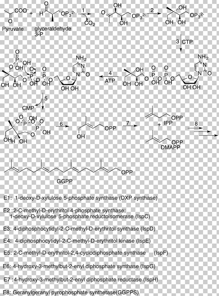 Line Point Angle Document White PNG, Clipart, Angle, Area, Art, Bio, Black And White Free PNG Download