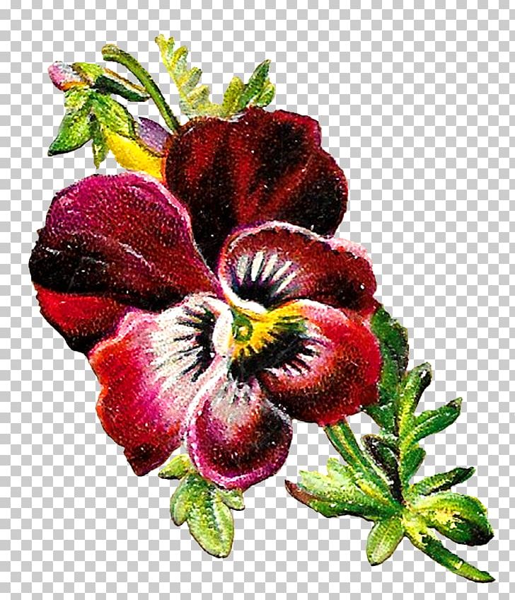 Pansy Flower Shades Of Purple Botany PNG, Clipart, Botanical Art, Botany, Floral Design, Flower, Flower Clipart Free PNG Download