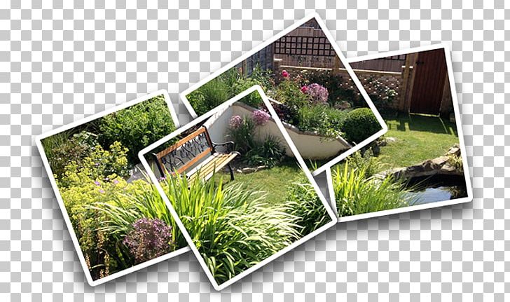 Yard Landscape Architecture Dorset Landscaping PNG, Clipart, Dorset, Garden, Garden Design, Gardening, Grass Free PNG Download