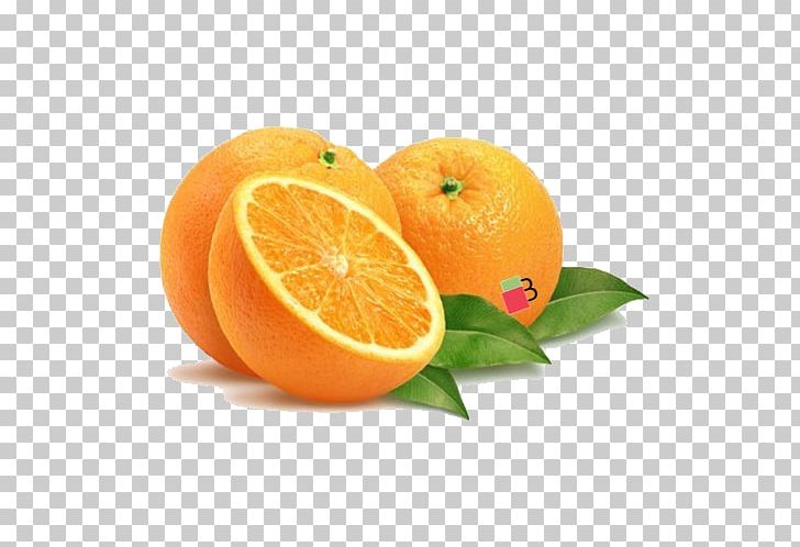 Orange Juice Grapefruit Vegetable PNG, Clipart, Bitter Orange, Chenpi, Citric Acid, Citrus, Clementine Free PNG Download