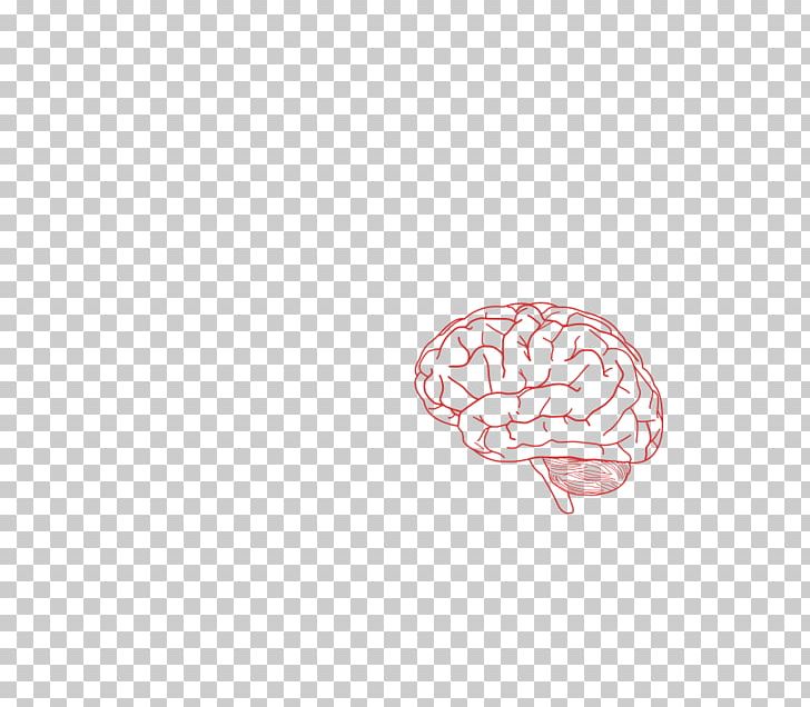 Brain Organism Mug Font PNG, Clipart, Brain, Brain Photos Free, Mug, Organ, Organism Free PNG Download