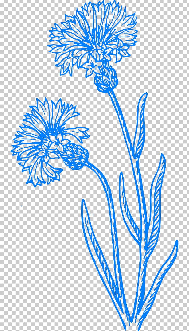 Cornflower Drawing PNG, Clipart, Area, Artwork, Black And White, Branch, Cornflower Free PNG Download