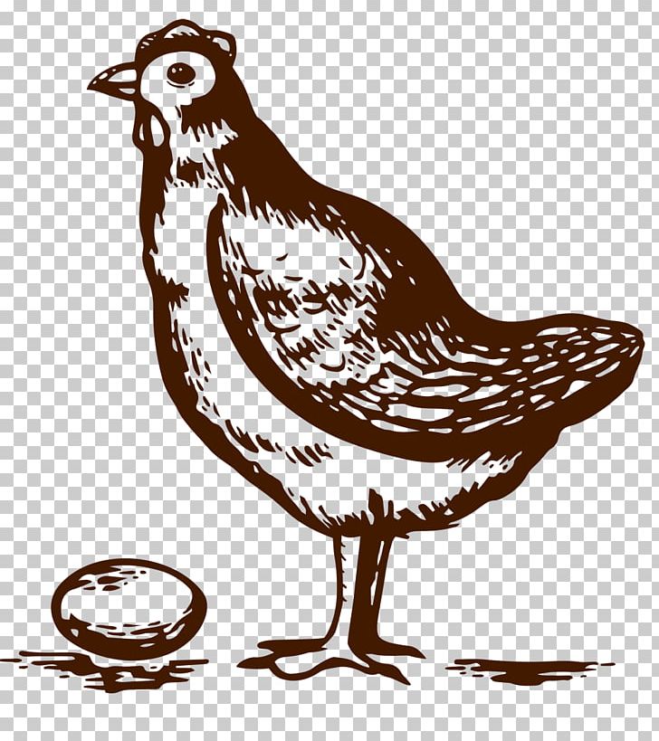 Crispy Fried Chicken Buffalo Wing Omelette PNG, Clipart, Animals, Artwork, Beak, Bird, Black And White Free PNG Download