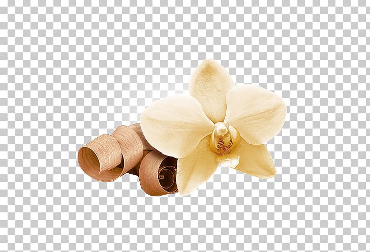 Flower Indian Sandalwood Petal Orchids Eau De Cologne PNG, Clipart, Cicekler, Color, Eau De Cologne, Flavor, Flower Free PNG Download