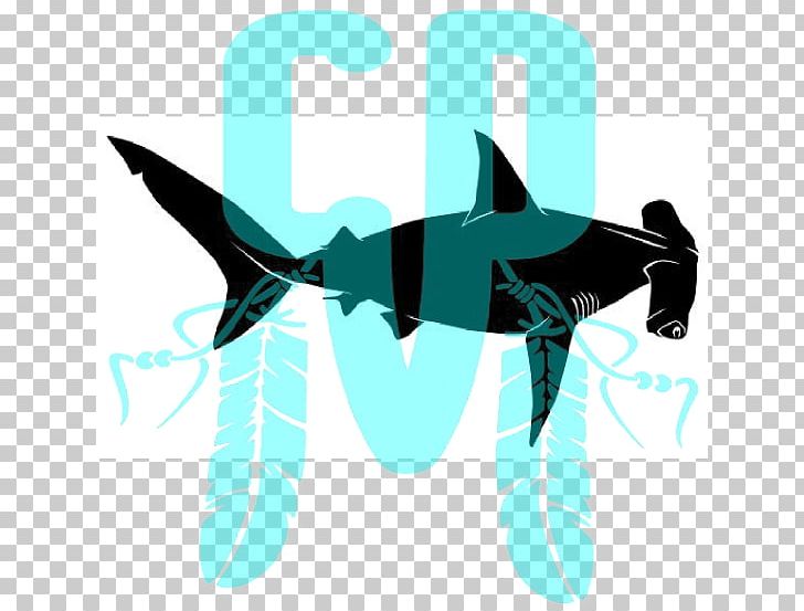Shark Logo Teal Font PNG, Clipart, Animals, Cartilaginous Fish, Dolphin, Fish, Font Free PNG Download