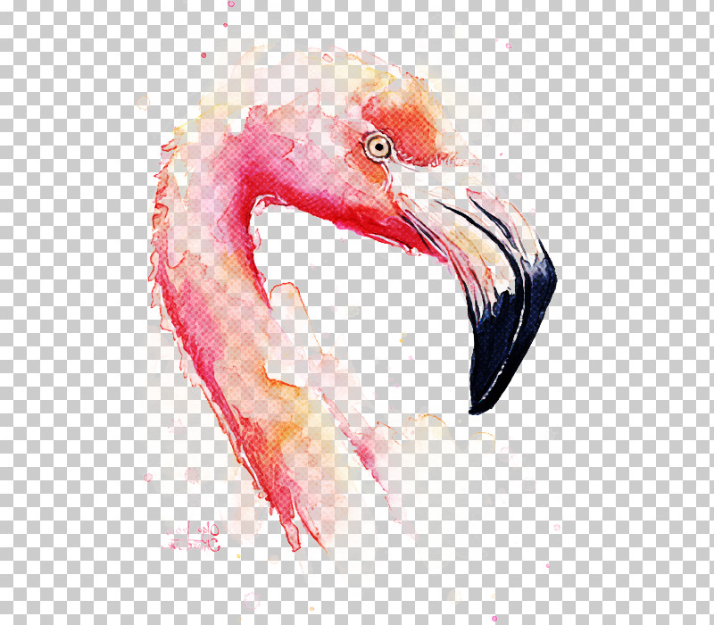 Flamingo PNG, Clipart, Beak, Bird, Drawing, Flamingo, Greater Flamingo Free PNG Download