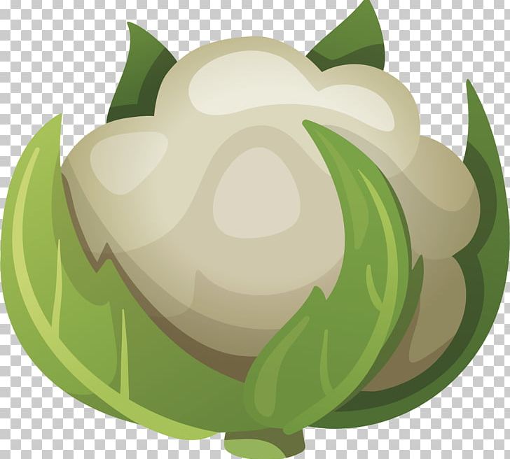 Cauliflower Capitata Group Vegetable Turnip PNG, Clipart, Brassica Oleracea, Broccoli, Brussels Sprout, Capitata Group, Cauliflower Free PNG Download