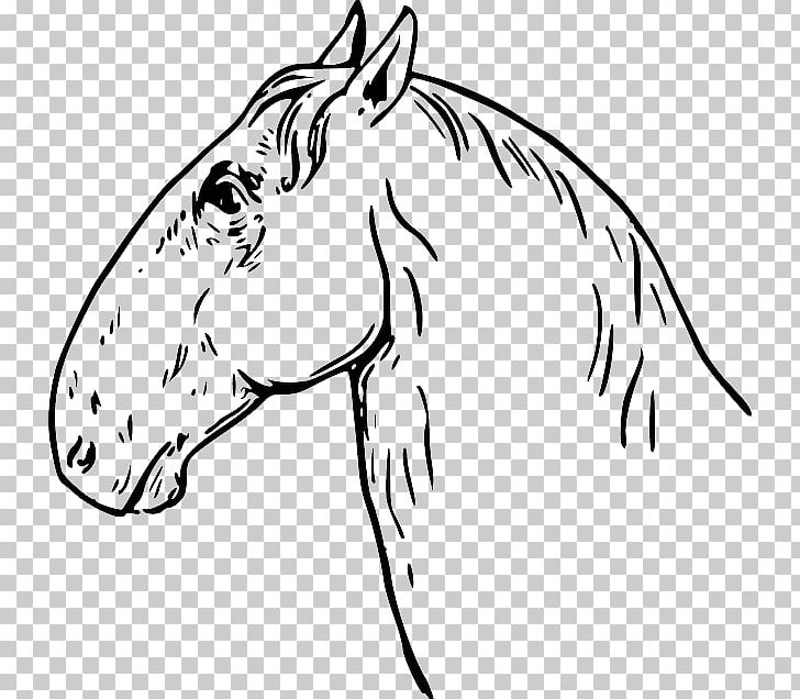 Horse PNG, Clipart, Animals, Art, Black, Carnivoran, Dog Like Mammal Free PNG Download