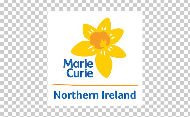 Marie Curie's Blooming Great Tea Party Great Daffodil Appeal Terminal Illness Research PNG, Clipart,  Free PNG Download