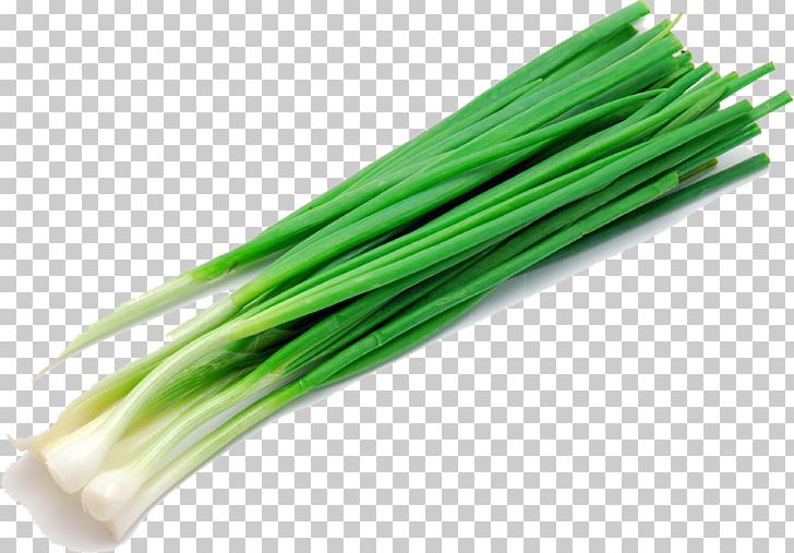 Onion Leek Salad Food Energy Herb PNG, Clipart, Allium, Chopped, Food, Food Energy, Grass Free PNG Download