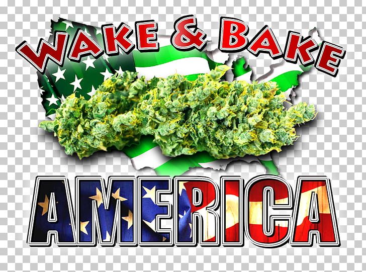 Prohibition In The United States CannabisRadio The Dude Grows Show PNG, Clipart, Cannabis, Education, Episode, Grass, Plant Free PNG Download