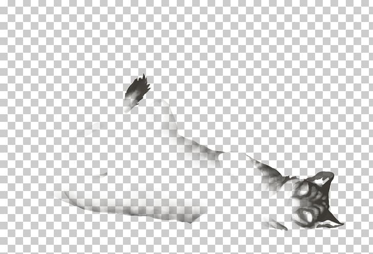Whiskers Cat Dog Fur Paw PNG, Clipart, Animals, Black, Black And White, Canidae, Carnivoran Free PNG Download