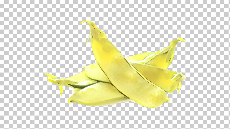 Yellow Plant Food Legume Fruit PNG, Clipart, Banana, Banana Family, Food, Fruit, Legume Free PNG Download