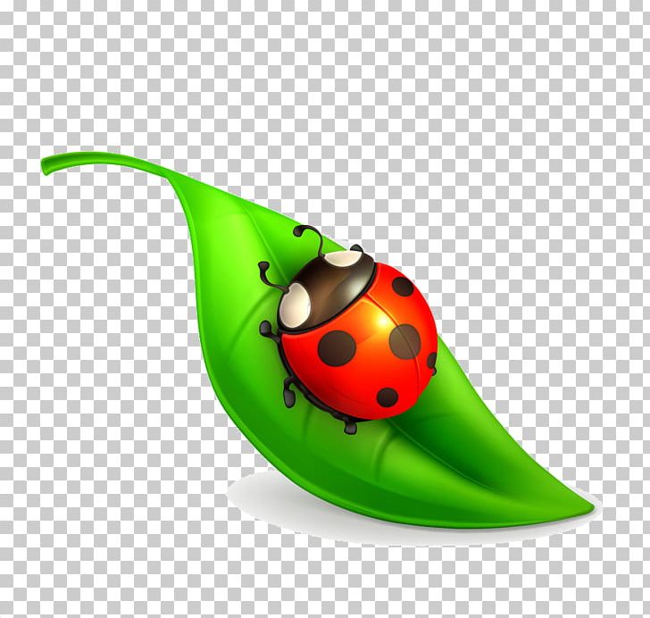 Graphics Stock Photography Ladybird Beetle Illustration PNG, Clipart, Advertising, Beetle, Behance, Coccinelle, Graphic Design Free PNG Download