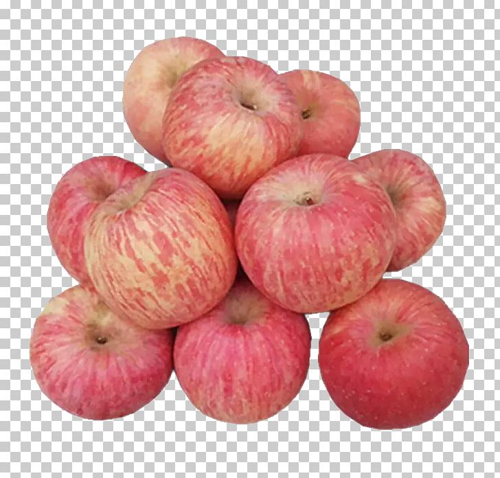 Apple Fuji PNG, Clipart, Apple, Apple Fruit, Apple Logo, Apples, Apple Tree Free PNG Download