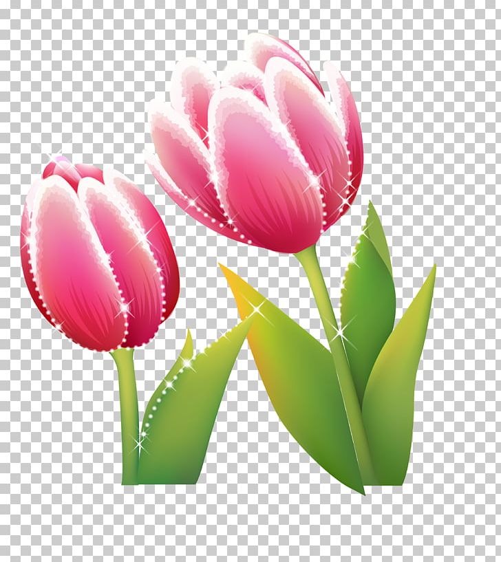 Flower PNG, Clipart, Color, Computer Wallpaper, Decorative Arts, Display Resolution, Floral Design Free PNG Download