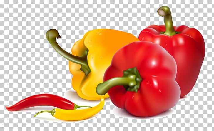 Green Curry Red Curry Bell Pepper Chili Pepper PNG, Clipart, Bel, Bell Pepper, Cauliflower, Cayenne Pepper, Chili Pepper Free PNG Download