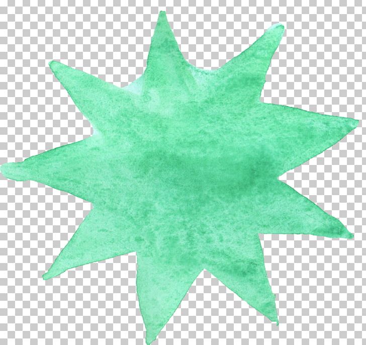 Watercolor Painting Star Leaf Green PNG, Clipart, Brush, Com, Green, Grunge, Leaf Free PNG Download
