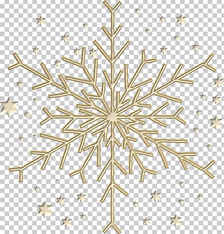 Christmas Ornament Star Poinsettia Christmas Tree PNG, Clipart, Auguste Escoffier, Blog, Branch, Chef, Christmas Free PNG Download