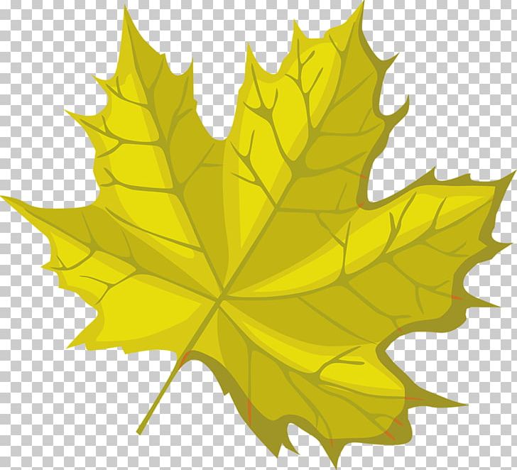 Maple Leaf Symmetry PNG, Clipart, Float, Flowering Plant, Hand Painted, Leaf, Maple Free PNG Download