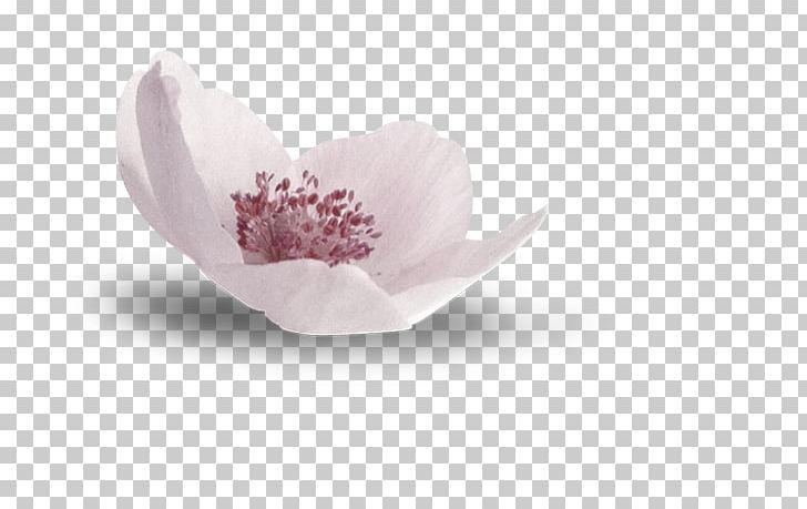 National Gallery Lilac Flower Blossom PNG, Clipart, Archival Inkjet Print, Art, Athens, Blossom, Christmas Decoration Free PNG Download