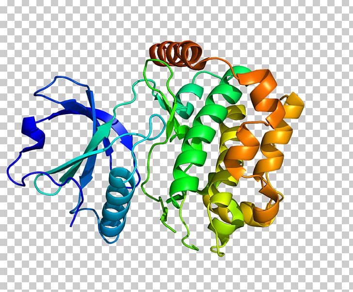 STK24 Mitogen-activated Protein Kinase Gene PNG, Clipart, Artwork, Chemical Structure, Dictionary, Enzyme, Fusion Protein Free PNG Download