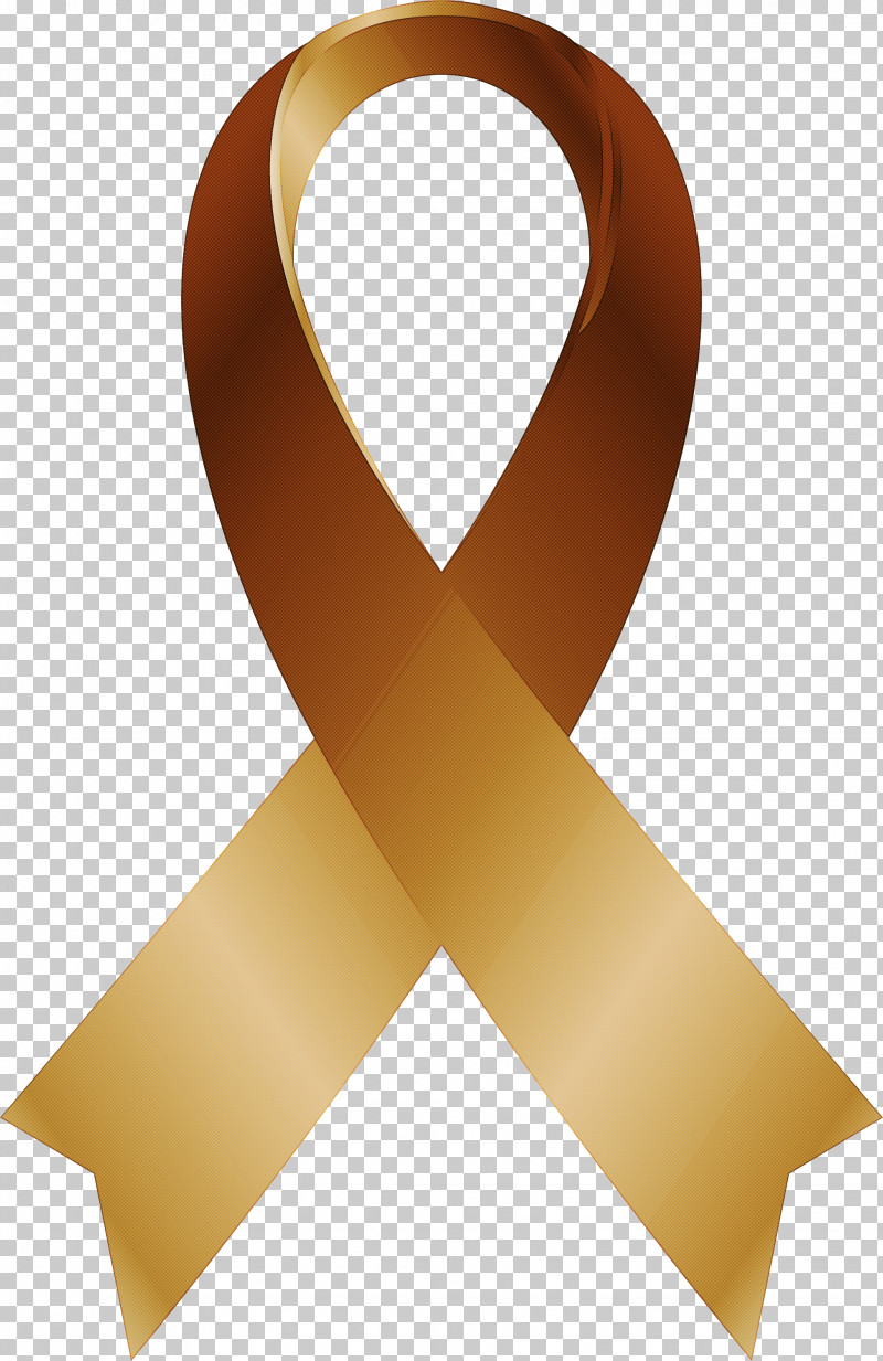 Solidarity Ribbon PNG, Clipart, Meter, Ribbon, Solidarity Ribbon Free PNG Download