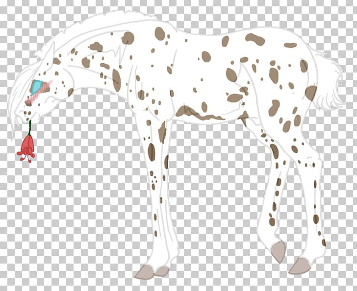Dalmatian Dog Horse Non-sporting Group Pack Animal Line PNG, Clipart, Animal, Animal Figure, Carnivoran, Dalmatian, Dalmatian Dog Free PNG Download