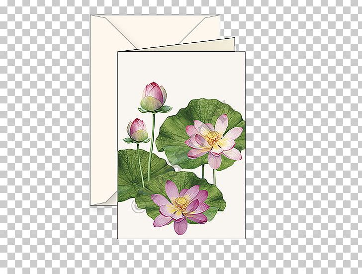 Floral Design Paper Cut Flowers PNG, Clipart, Cut Flowers, Flora, Floral Design, Floristry, Flower Free PNG Download