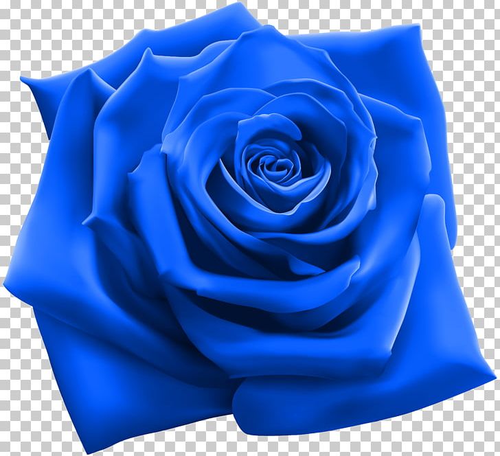 Rose Stock Illustration Stock Photography Illustration PNG, Clipart, Art, Blue, Blue Rose, Clipart, Cobalt Blue Free PNG Download