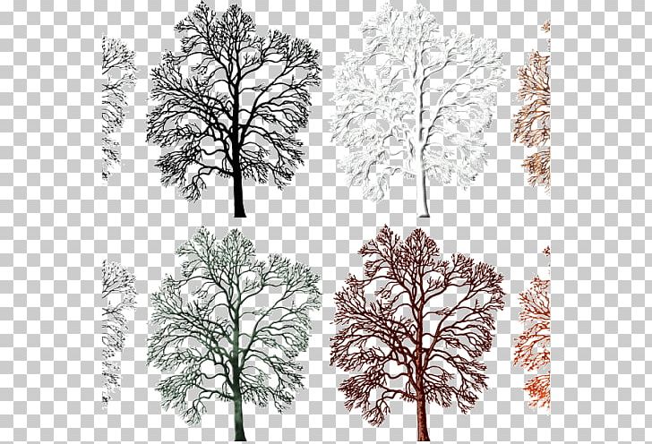 Twig Leaf Acorn Tree PNG, Clipart, Acorn, Black And White, Branch, Email, Facebook Free PNG Download