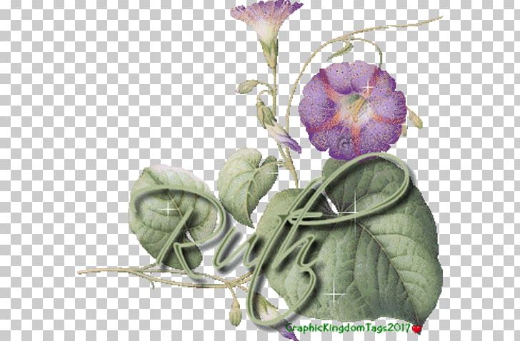 El En Be Sha O PNG, Clipart, Blog, Flora, Floral Design, Flower, Flower Arranging Free PNG Download