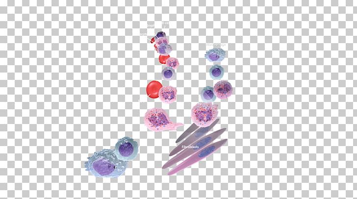 Immune System Immunity Tissue Human Body Inflammation PNG, Clipart, Adaptive Immune System, Antigen, Body Jewelry, Diet, Fashion Accessory Free PNG Download