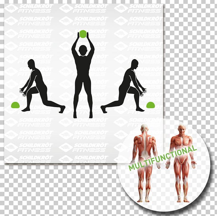 Pull-up Physical Fitness Muscle Exercise Anatomy PNG, Clipart, Anatomy, Area, Brand, Exercise, Exercise Balls Free PNG Download