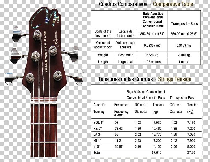 Acoustic Bass Guitar Acoustic-electric Guitar String Instruments PNG, Clipart, Acoustic Bass Guitar, Acoustic Electric Guitar, Guitar Accessory, Magma, Music Free PNG Download
