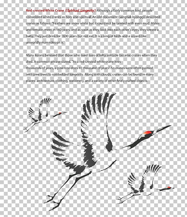 Crane Yunhezhen PNG, Clipart, Beak, Bibimbap, Bird, Bird Of Prey, Black And White Free PNG Download