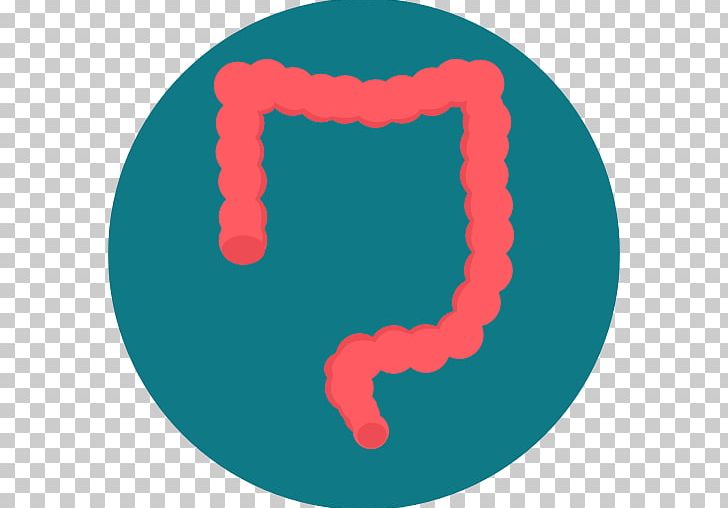 Large Intestine Computer Icons PNG, Clipart, Blue, Circle, Computer Icons, Encapsulated Postscript, Gastrointestinal Tract Free PNG Download